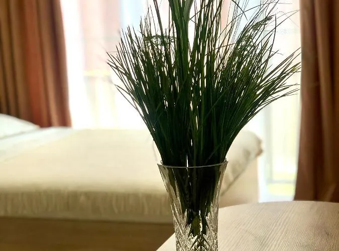 Ospart In A Complex Semycvit 1 Appartement