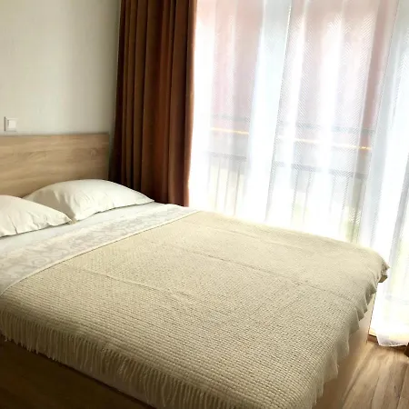 Ospart In A Complex Semycvit 1 *